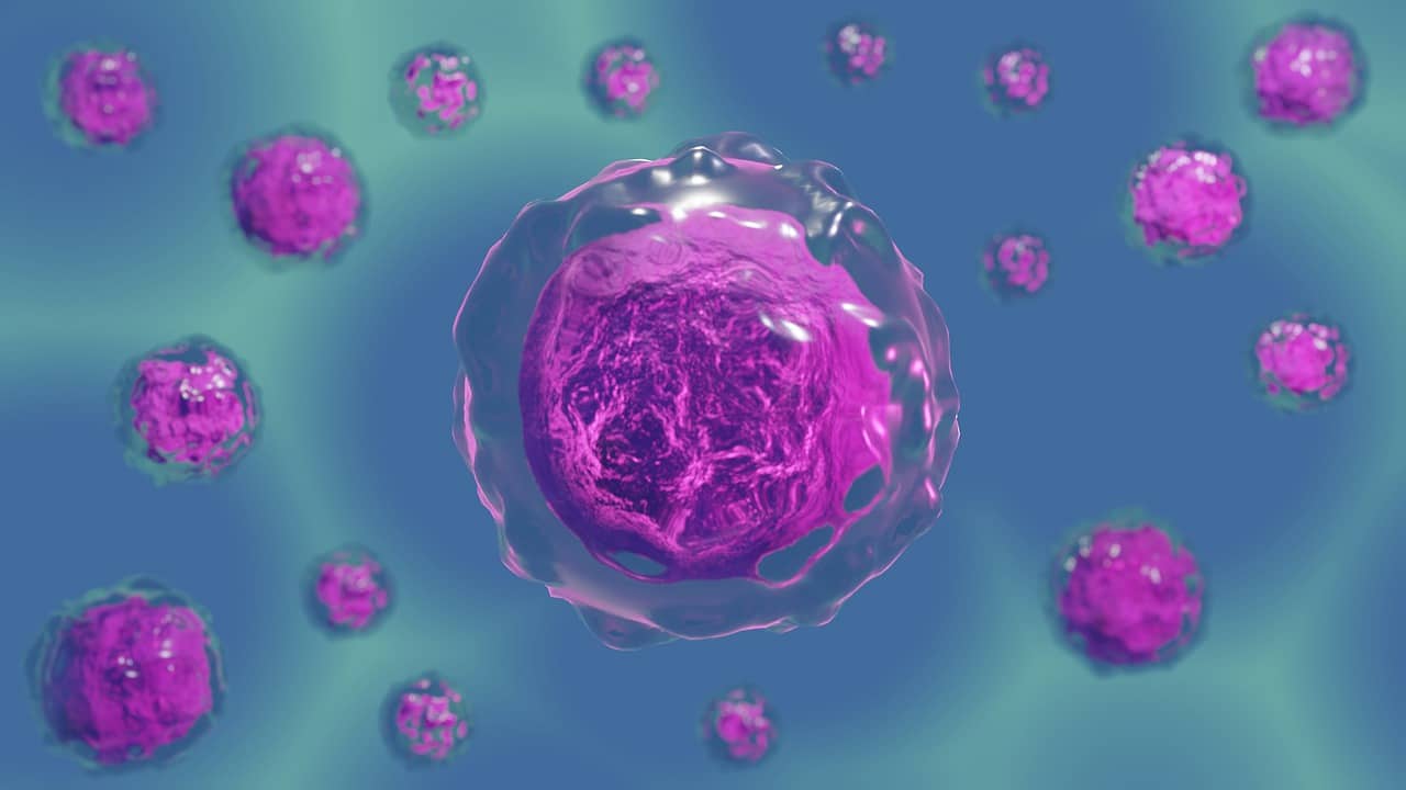 células bioquímica